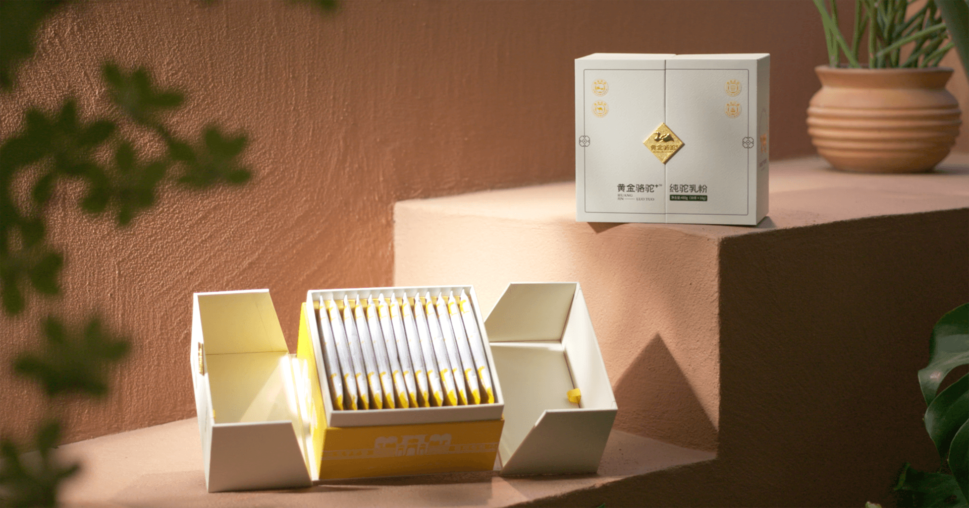 定位小众高端乳粉，彩霸王官网推出驼奶品牌“黄金骆驼+”，角逐乳品新市场！