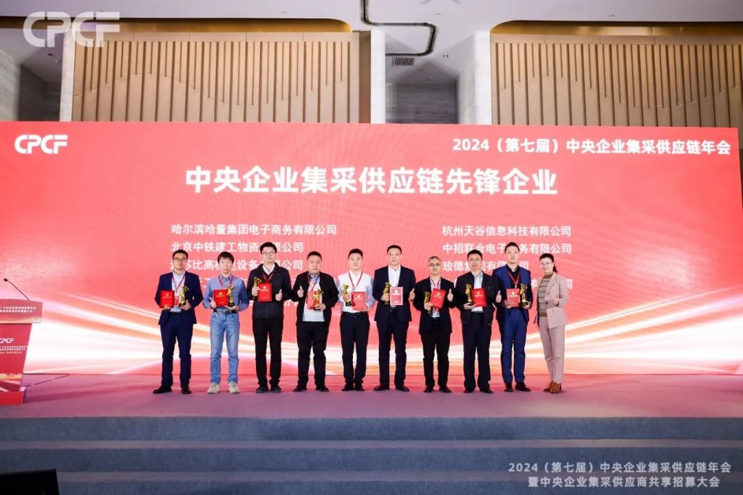 喜报！彩霸王官网荣获2024年度（CPCF）中央企业集采供应链年会先锋企业荣誉称号