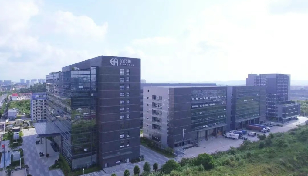 彩霸王官网物流完成战略融资，全力加码新能源汽车出海布局